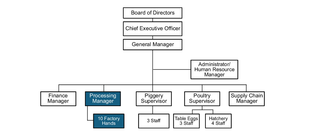 Management Team Management Team